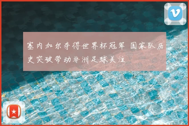 塞内加尔夺得世界杯冠军 国家队历史突破带动非洲足球关注